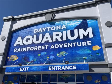 aquarium daytona beach price|daytona beach aquarium locations.